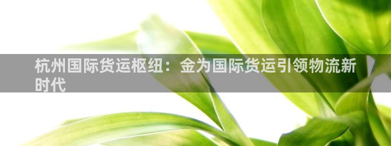 尊龙凯时品牌介绍：杭州国际货运枢纽：金为国际货运引领物流