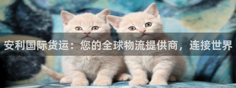 尊龙信息科技有限公司：安利国际货运：您的全球物流提供商，