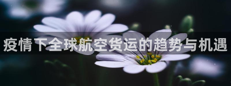 尊龙凯时ag旗舰厅登陆：疫情下全球航空货运的趋势与机遇