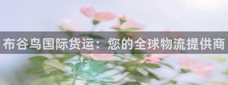 尊龙网址是多少：布谷鸟国际货运：您的全球物流提供商