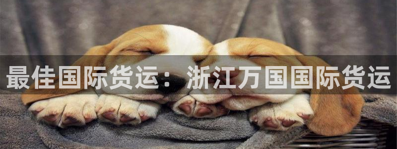 尊龙凯时官方网站下载：最佳国际货运：浙江万国国际货运