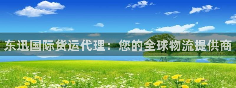 尊龙官网手机版：东迅国际货运代理：您的全球物流提供商