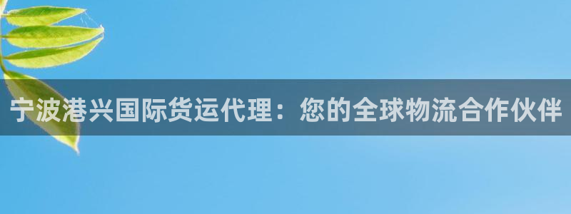 尊龙人生就是博登陆：宁波港兴国际货运代理：您的全球物流合