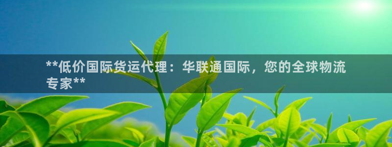 尊龙ag旗舰厅官网·(中国)官方入口：**低价国际货运代