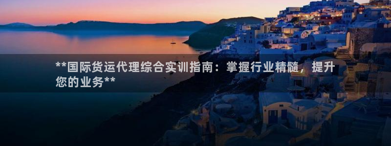 尊龙官网手机版下载：**国际货运代理综合实训指南：掌握行