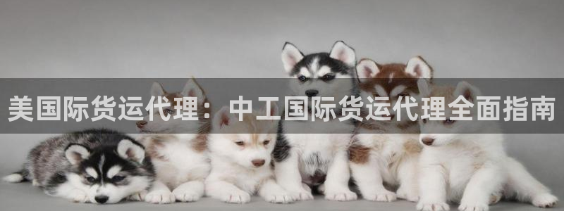 尊龙人生就是博电脑版：美国际货运代理：中工国际货运代理全