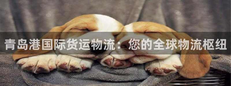 尊龙凯时代理：青岛港国际货运物流：您的全球物流枢纽