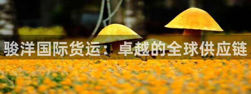 尊龙凯时登陆入口：骏洋国际货运：卓越的全球供应链