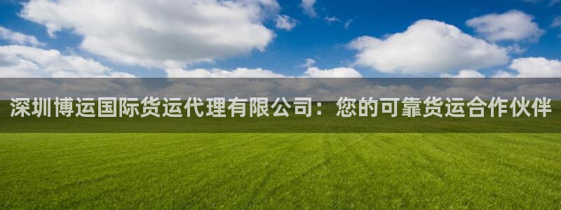 尊龙凯时有封银行卡的吗：深圳博运国际货运代理有限公司：您