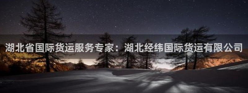 尊龙凯时为什么不封：湖北省国际货运服务专家：湖北经纬国际