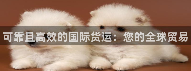 尊龙凯时人生就是搏 品牌专区：可靠且高效的国际货运：您的