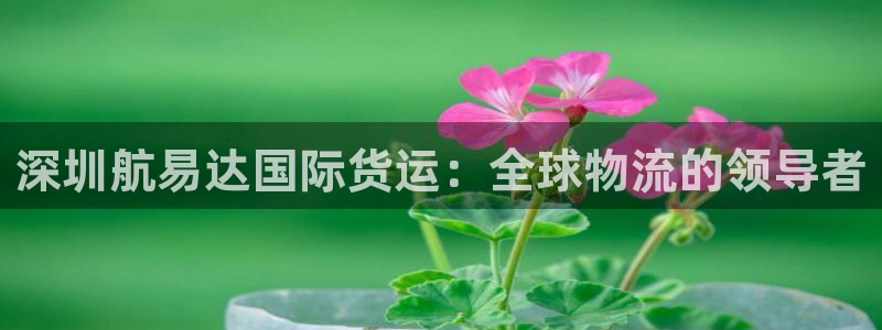 尊龙d88官网登录下载：深圳航易达国际货运：全球物流的领