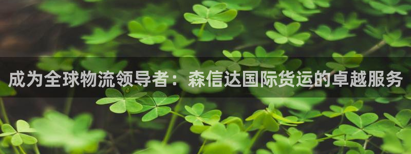 尊龙平台登录：成为全球物流领导者：森信达国际货运的卓越服