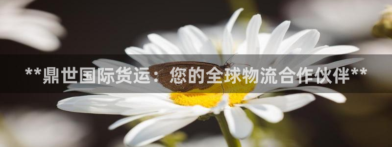尊龙凯时官网：**鼎世国际货运：您的全球物流合作伙伴**