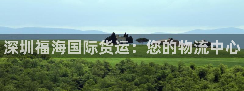 尊龙凯时 - 人生就是搏!：深圳福海国际货运：您的物流中