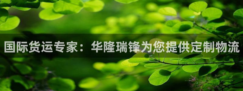 尊龙人生就是博一下下：国际货运专家：华隆瑞锋为您提供定制