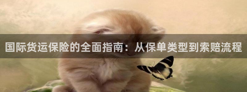 尊龙手机官方客户端下载：国际货运保险的全面指南：从保单类