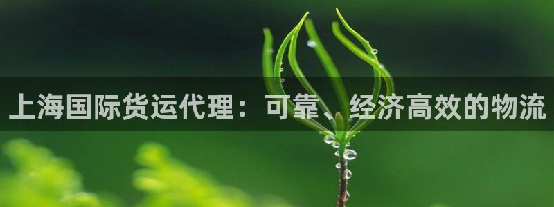 尊龙凯时白家乐：上海国际货运代理：可靠、经济高效的物流