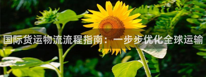 尊龙凯时ag旗舰厅官网客服：国际货运物流流程指南：一步步