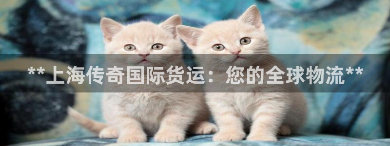 尊龙d88手机版下载：**上海传奇国际货运：您的全球物流