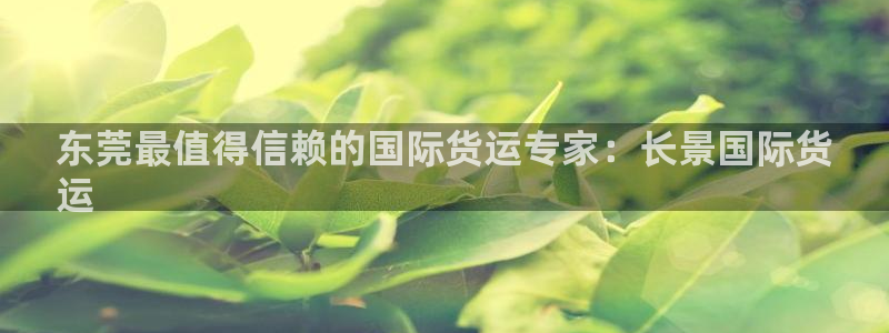 尊龙人生就是博登录：东莞最值得信赖的国际货运专家：长景国