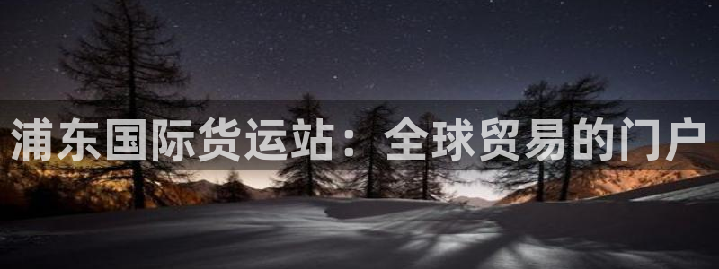 尊龙体育怎么样：浦东国际货运站：全球贸易的门户