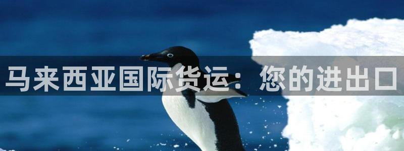 尊龙软件下载：马来西亚国际货运：您的进出口