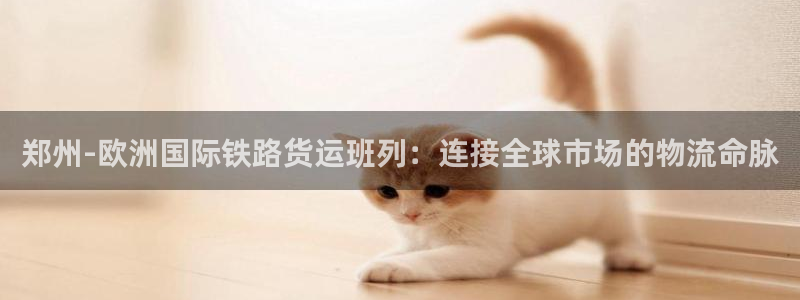 百度一下尊龙：郑州-欧洲国际铁路货运班列：连接全球市场的