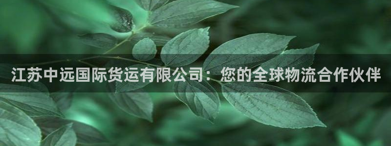 尊龙凯时新闻：江苏中远国际货运有限公司：您的全球物流合作
