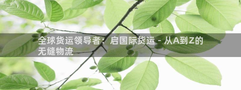 尊龙软件下载：全球货运领导者：启国际货运 - 从A到Z的