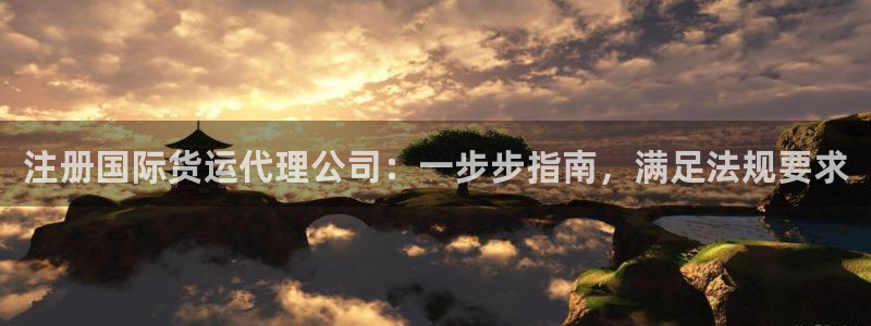 尊龙凯时注册入口：注册国际货运代理公司：一步步指南，满足