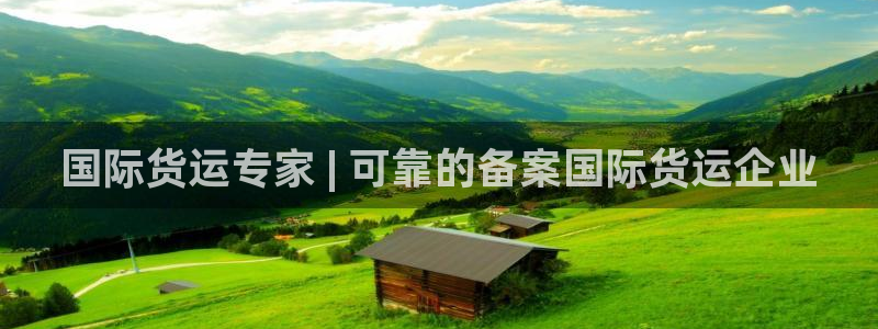 尊龙凯时：国际货运专家 | 可靠的备案国际货运企业