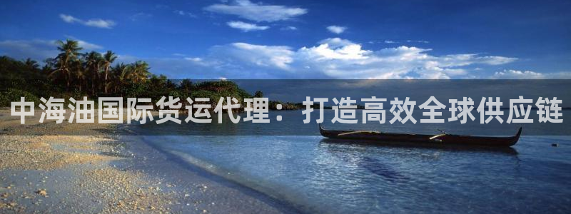 尊龙凯时人生就是博·(中国)官网首页：中海油国际货运代理
