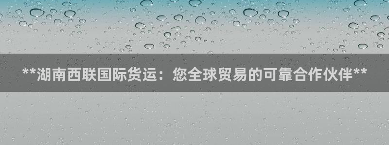 尊龙网址是多少：**湖南西联国际货运：您全球贸易的可靠合