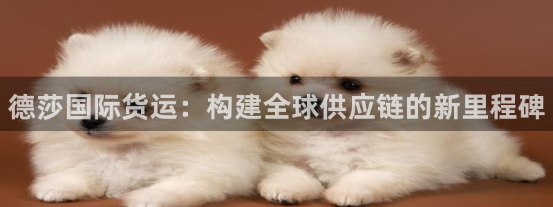尊龙物流官网