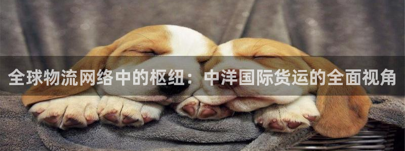 尊龙凯时 人生就是搏 平台