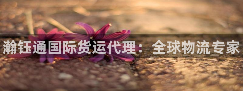 尊龙ag