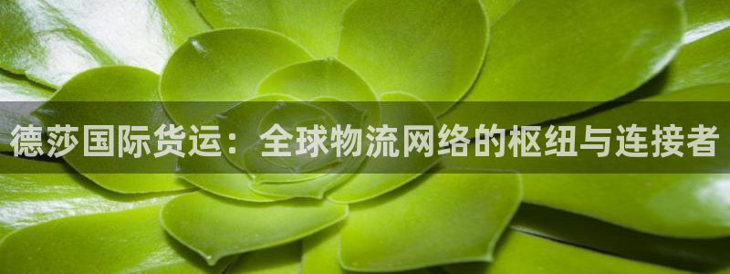 尊龙新版app首页
