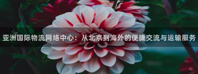 尊龙凯时登陆