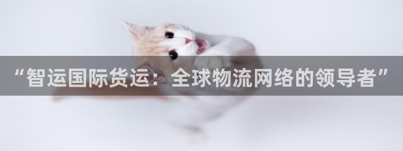 尊龙官网下载