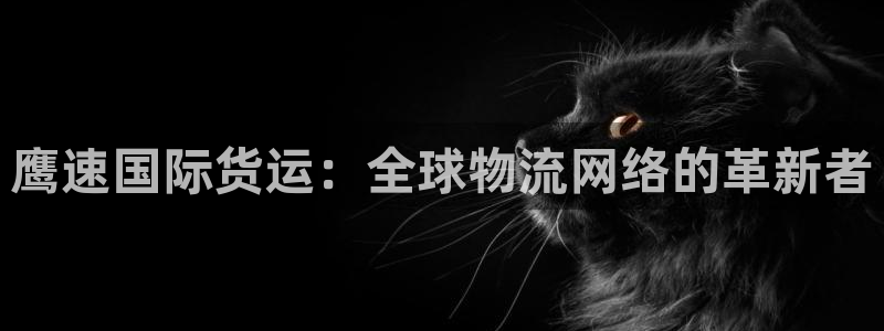 尊龙棋牌旗舰店