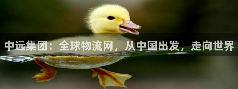 尊龙凯时vip
