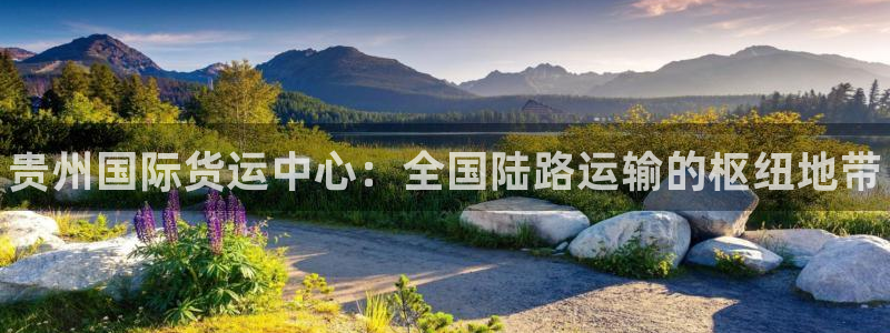 尊龙凯时网页版