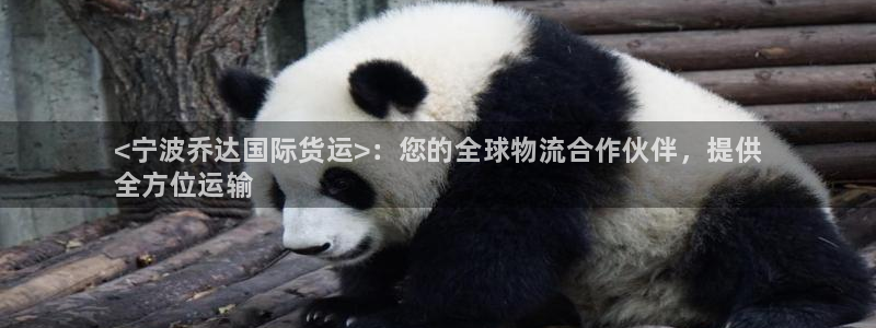 尊龙凯时代理能提出来不：<宁波乔达国际货运>：您的全球物