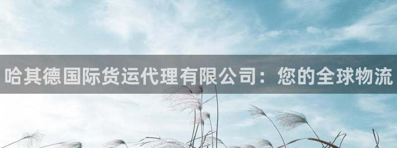尊龙凯时人生就是博·(中国)：哈其德国际货运代理有限公司