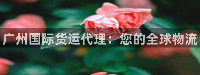 尊龙凯时人生就博官网登录：广州国际货运代理：您的全球物流