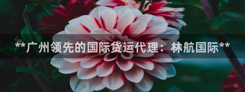 尊龙是什么软件