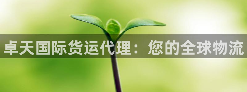 尊龙官网手机版下载