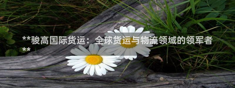 尊龙凯时官网：**骏高国际货运：全球货运与物流领域的领军