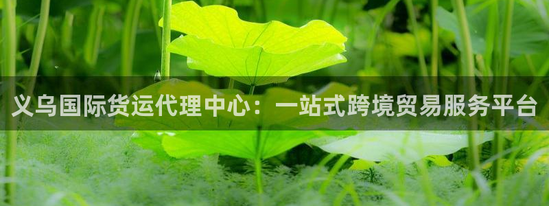 尊龙d88官网登录